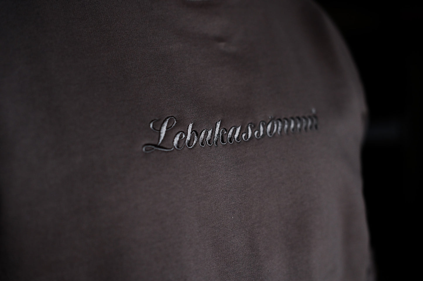 Sweater - Lebakassömmi